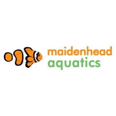 Maidenhead Aquatics