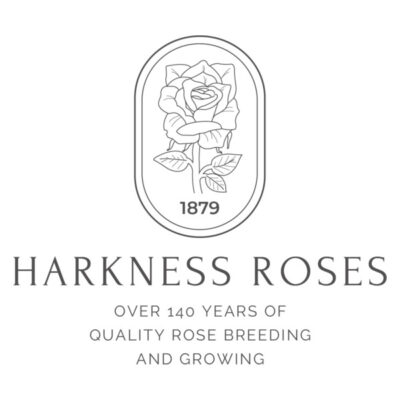 Harkness Roses